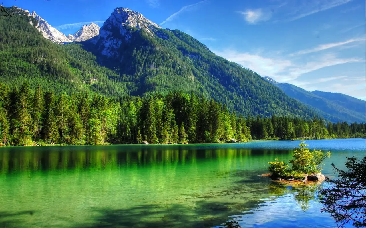 高精度可靠性网络化
